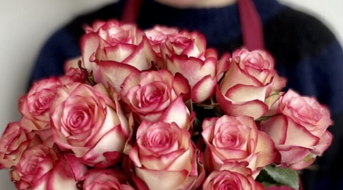 Mit einem Klick Rosen schenken