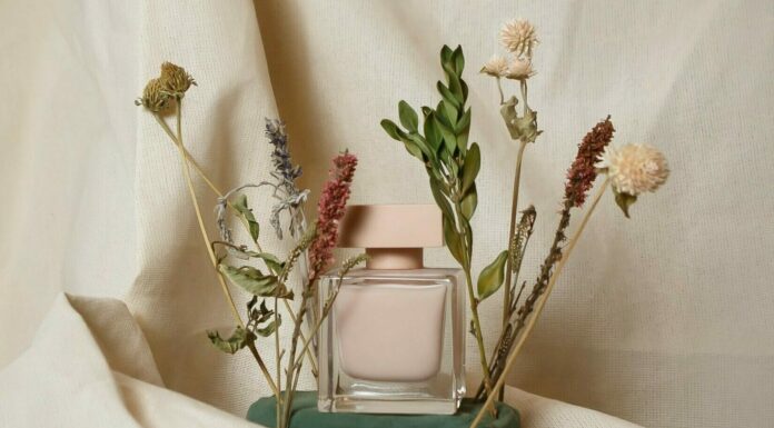 Let it bloom – Düfte zum Verlieben