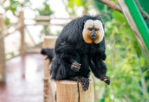Wiedereröffnung Tropenhaus im Haus des Meeres
